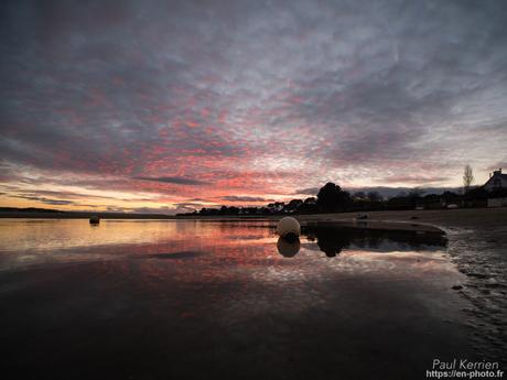 #murmuration d'#étourneaux #Bretagne #Finistère