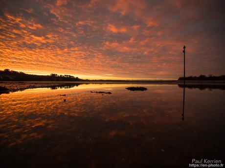 #murmuration d'#étourneaux #Bretagne #Finistère