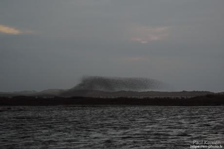 les corps blancs peints par Jérome Mesnager à #Tréguennec #Bretagne #Finistère