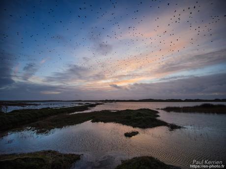 les corps blancs peints par Jérome Mesnager à #Tréguennec #Bretagne #Finistère