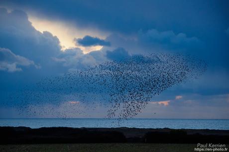 les corps blancs peints par Jérome Mesnager à #Tréguennec #Bretagne #Finistère