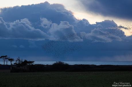 les corps blancs peints par Jérome Mesnager à #Tréguennec #Bretagne #Finistère