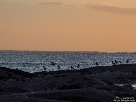 l'œil de Pierre Chanteau à Sainte-Marine #Bretagne #Finistère