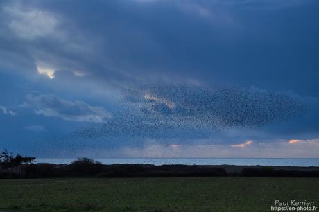l'œil de Pierre Chanteau à Sainte-Marine #Bretagne #Finistère