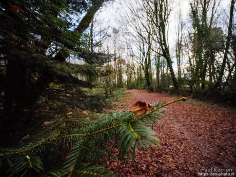 l'œil de Pierre Chanteau à Sainte-Marine #Bretagne #Finistère