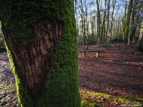 l'œil de Pierre Chanteau à Sainte-Marine #Bretagne #Finistère