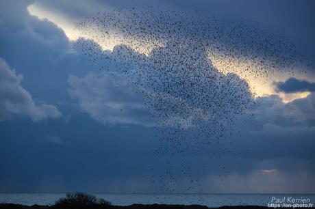 l'œil de Pierre Chanteau à Sainte-Marine #Bretagne #Finistère