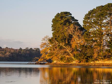 l'œil de Pierre Chanteau à Sainte-Marine #Bretagne #Finistère