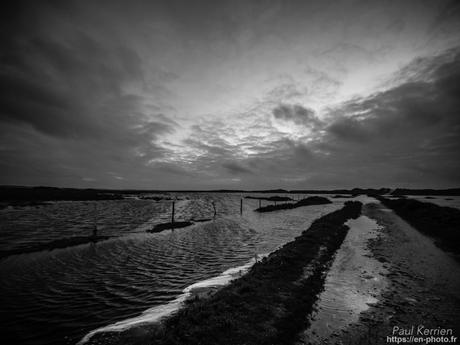 l'œil de Pierre Chanteau à Sainte-Marine #Bretagne #Finistère