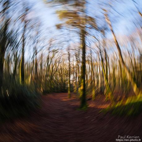 l'œil de Pierre Chanteau à Sainte-Marine #Bretagne #Finistère