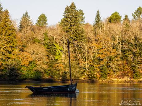 l'œil de Pierre Chanteau à Sainte-Marine #Bretagne #Finistère