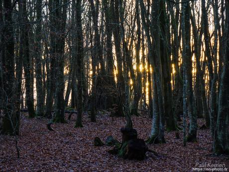 l'œil de Pierre Chanteau à Sainte-Marine #Bretagne #Finistère