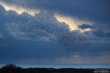 l'œil de Pierre Chanteau à Sainte-Marine #Bretagne #Finistère