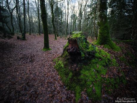 l'œil de Pierre Chanteau à Sainte-Marine #Bretagne #Finistère