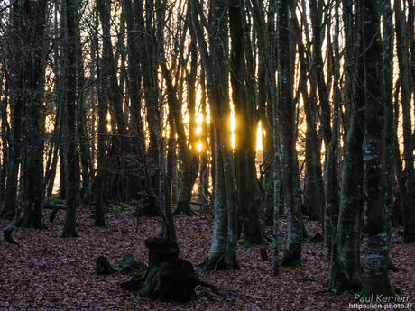 l'œil de Pierre Chanteau à Sainte-Marine #Bretagne #Finistère