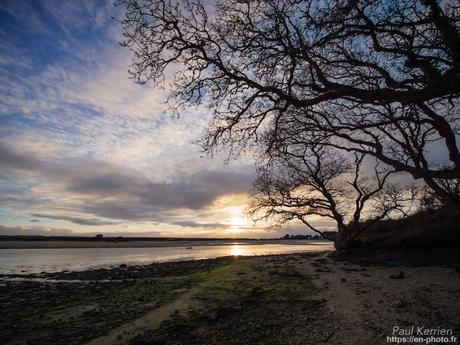 l'œil de Pierre Chanteau à Sainte-Marine #Bretagne #Finistère