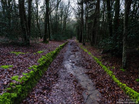 l'œil de Pierre Chanteau à Sainte-Marine #Bretagne #Finistère