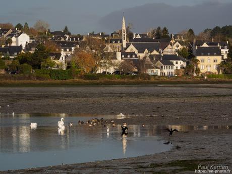 l'œil de Pierre Chanteau à Sainte-Marine #Bretagne #Finistère