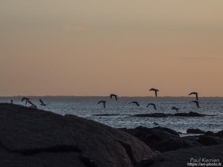 l'œil de Pierre Chanteau à Sainte-Marine #Bretagne #Finistère