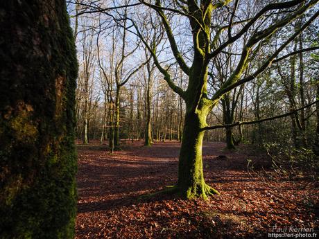 l'œil de Pierre Chanteau à Sainte-Marine #Bretagne #Finistère