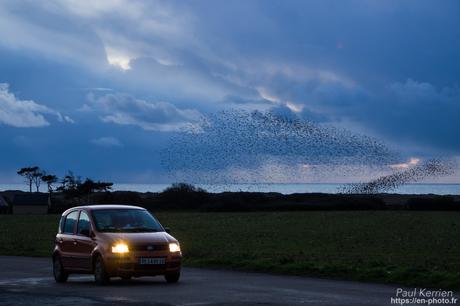 l'œil de Pierre Chanteau à Sainte-Marine #Bretagne #Finistère