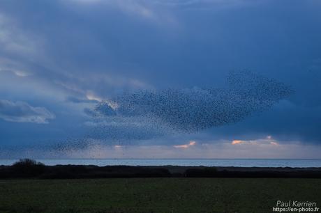 l'œil de Pierre Chanteau à Sainte-Marine #Bretagne #Finistère