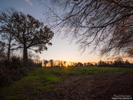 l'œil de Pierre Chanteau à Sainte-Marine #Bretagne #Finistère