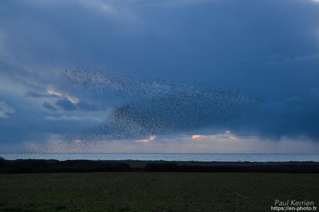 l'œil de Pierre Chanteau à Sainte-Marine #Bretagne #Finistère