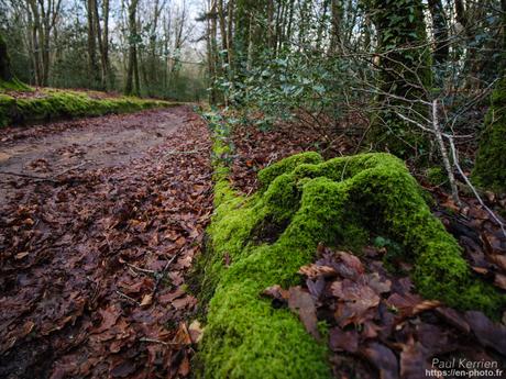 #reflet au lever du jour sur L'#Odet #Bretagne #Finistère