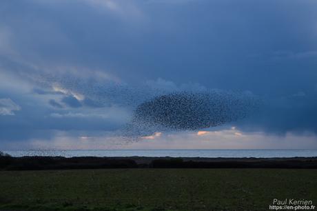 #reflet au lever du jour sur L'#Odet #Bretagne #Finistère