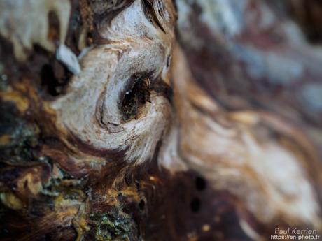 #reflet au lever du jour sur L'#Odet #Bretagne #Finistère