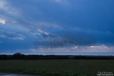 #reflet au lever du jour sur L'#Odet #Bretagne #Finistère