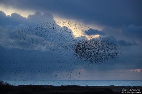 #reflet au lever du jour sur L'#Odet #Bretagne #Finistère