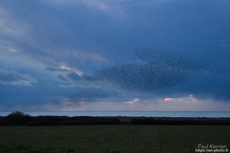 #reflet au lever du jour sur L'#Odet #Bretagne #Finistère