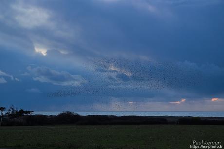 #reflet au lever du jour sur L'#Odet #Bretagne #Finistère