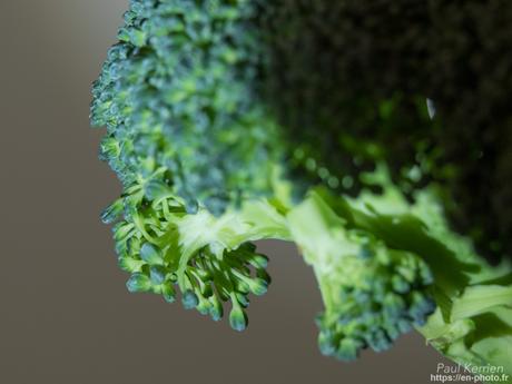 avant le confinement #Bretagne #Finistère