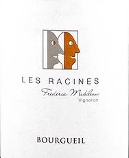 Bourgueil, les Racines 2014, Frédéric Mabileau