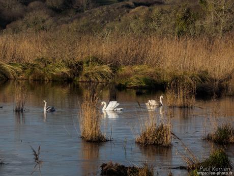 toujours aussi bien... agencé, le #sable sur la grève #Bretagne #Finistère toujours aussi bien... agencé, le #sable sur la grève #Bretagne #Finistère
