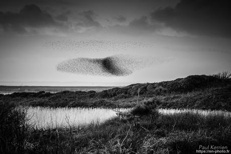 toujours aussi bien... agencé, le #sable sur la grève #Bretagne #Finistère toujours aussi bien... agencé, le #sable sur la grève #Bretagne #Finistère