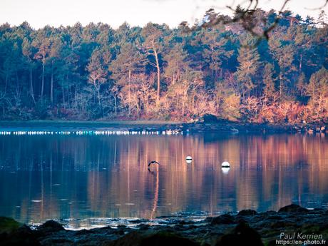 toujours aussi bien... agencé, le #sable sur la grève #Bretagne #Finistère toujours aussi bien... agencé, le #sable sur la grève #Bretagne #Finistère