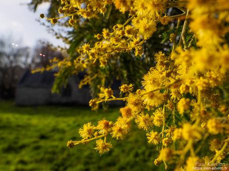 toujours aussi bien... agencé, le #sable sur la grève #Bretagne #Finistère toujours aussi bien... agencé, le #sable sur la grève #Bretagne #Finistère