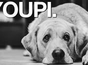 maintenant, petit indice réparabilité