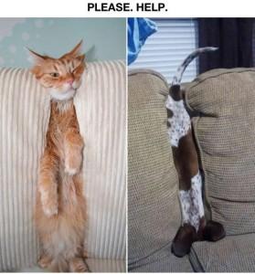 Et maintenant, un petit indice de réparabilité Et maintenant, un petit indice de réparabilité