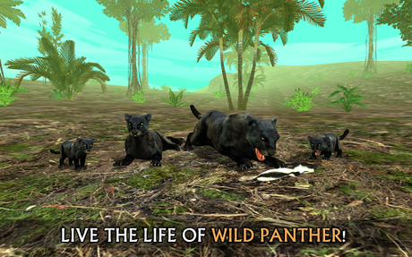 Télécharger Wild Panther Sim 3D APK MOD (Astuce) 1