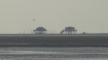 Balade hivernale en fond de Bassin
