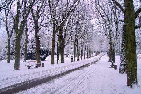 Parc de la Pépinière en hiver © French Moments