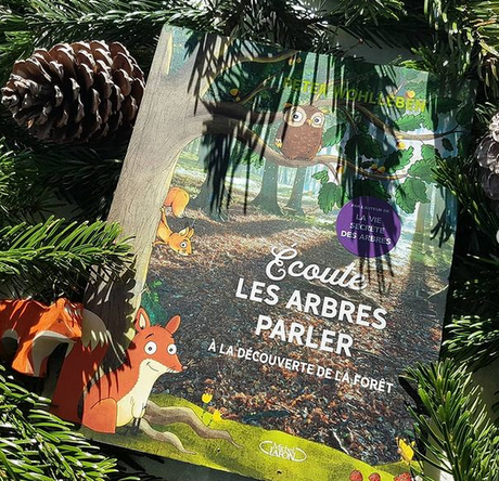 Ecoute les arbres parler - A la découverte de la forêt de Peter Wohlleben ♥ ♥ ♥