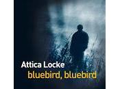 "Bluebird, bluebird" d'Attica Locke (Bluebird, bluebird)