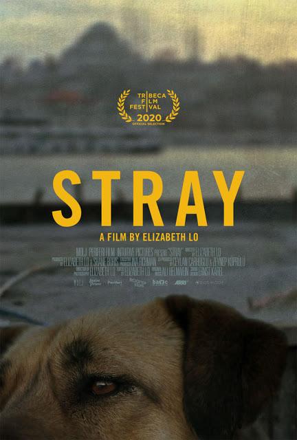 Premier trailer pour Stray signé Elizabeth Lo