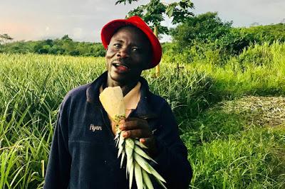 Au Ghana. A la recherche de Kwabena l'homme ananas